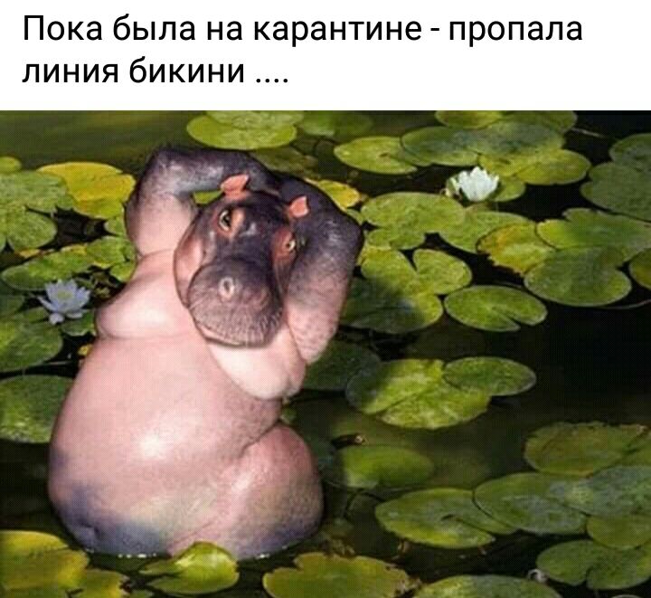 Пока была на карантине пропала линия бикини