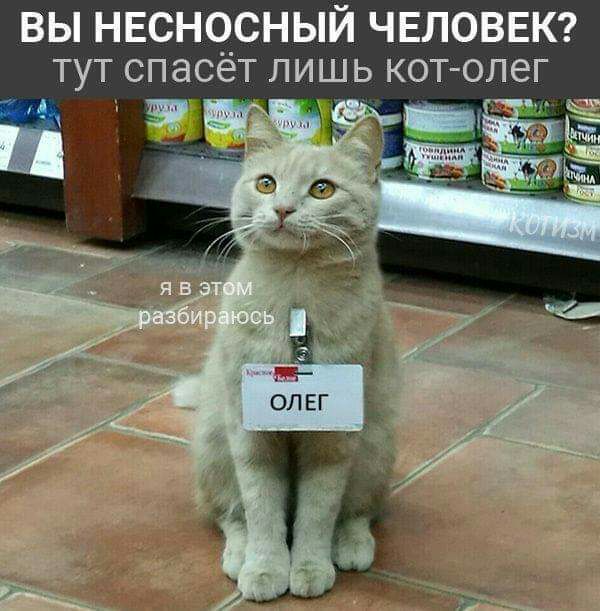 ВЫ НЕСНОСНЫЙ ЧЕЛОВЕК тут спасёт пишь кот олег