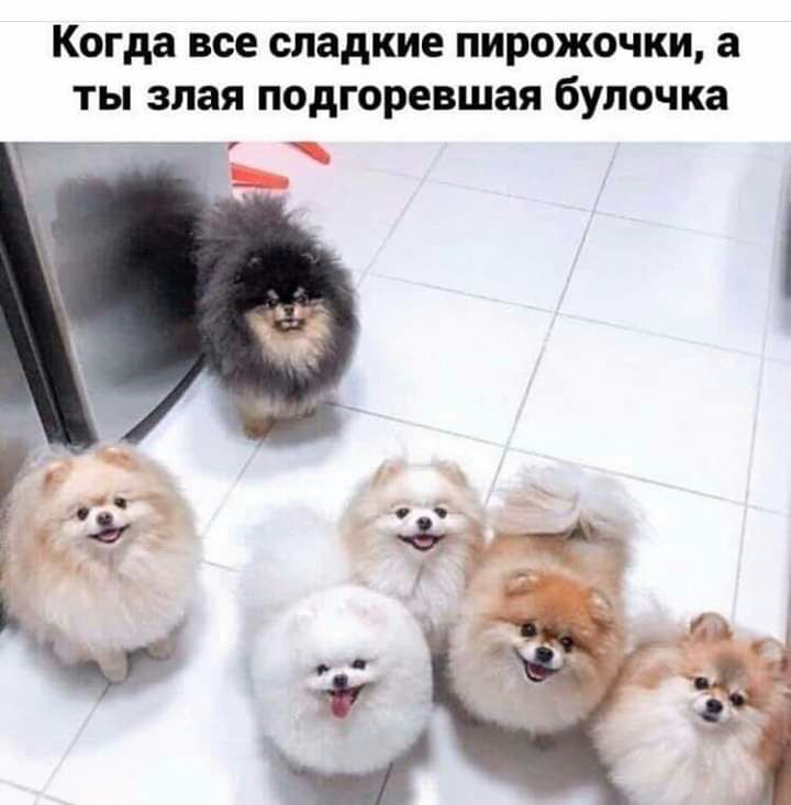 Г Когда все сладкие ПИРОЖОЧКИ а ТЫ злая подгоревшая булочка