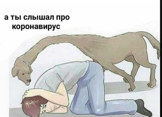 а ты слышал про коронавирус