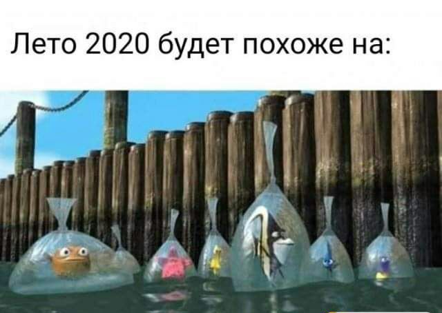 Лето 2020 будет похоже на
