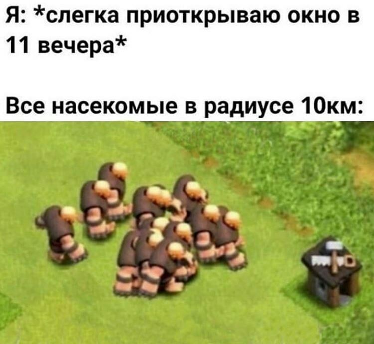 Я слегка приоткрываю окно в 11 вечера Все насекомые в радиусе 10км Р д
