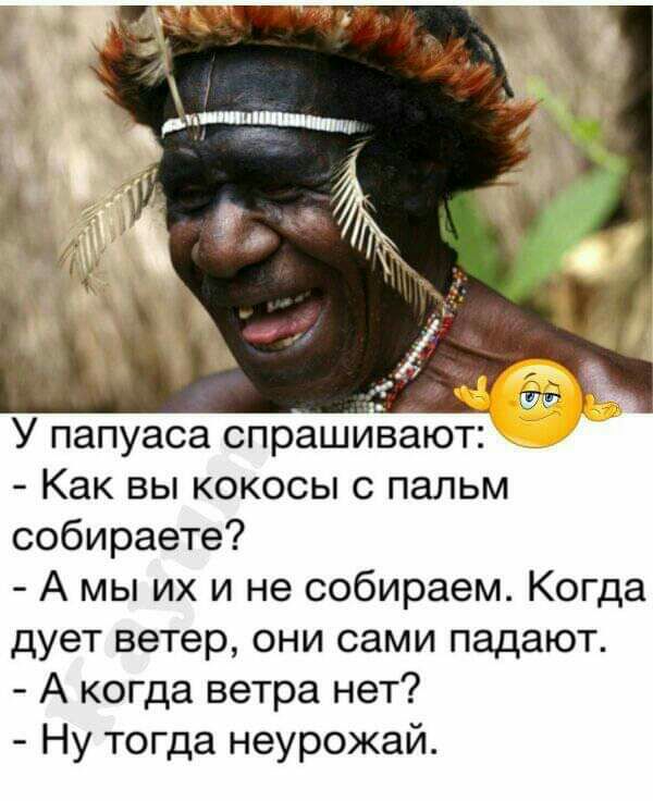 У папуаса спрашиают Как вы кокосы с пальм собираете А мы их и не собираем Когда дует ветер они сами падают А когда ветра нет Ну тогда неурожай