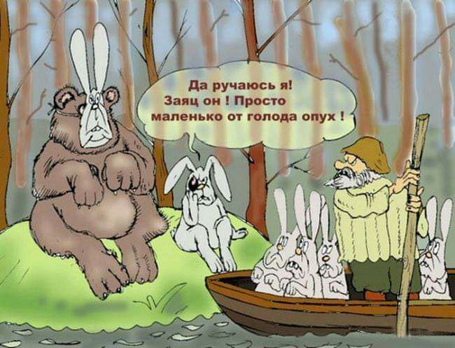 да ручаюсь я Заяц он Просто маленько от голода опух