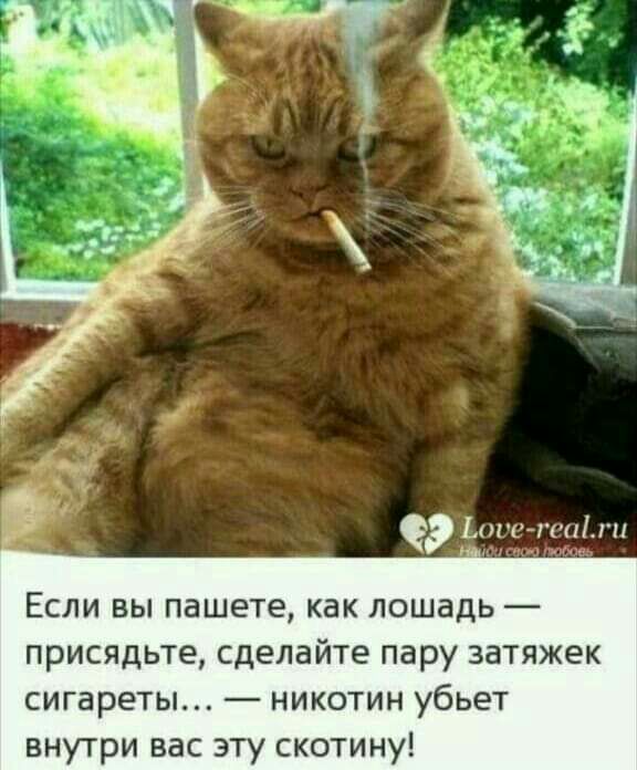 Если вы пашете как лошадь присядьте сделайте пару затяжек сигареты никотин убьет внутри вас эту скотину