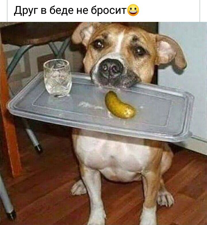 Друг в беде не бросит ъ