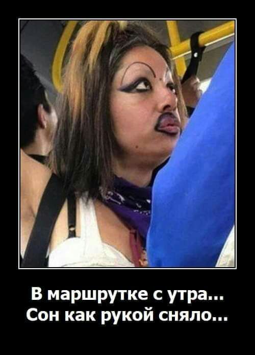 В маршрутке с утра Сон как рукой сняло
