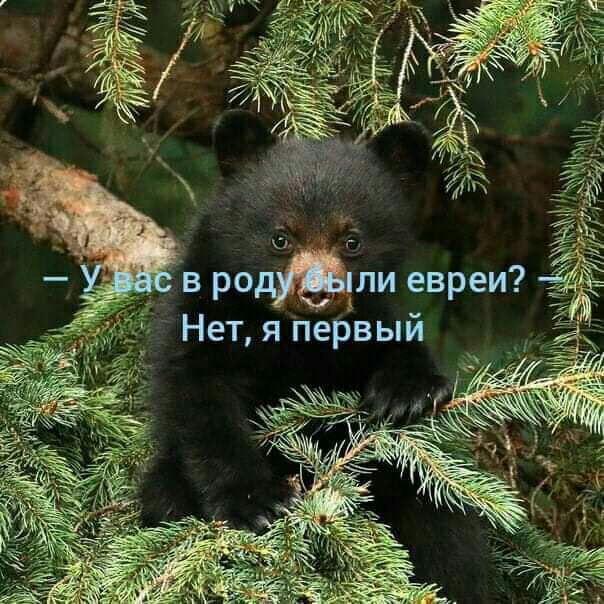 9 в родуъели евреи Нет я первый