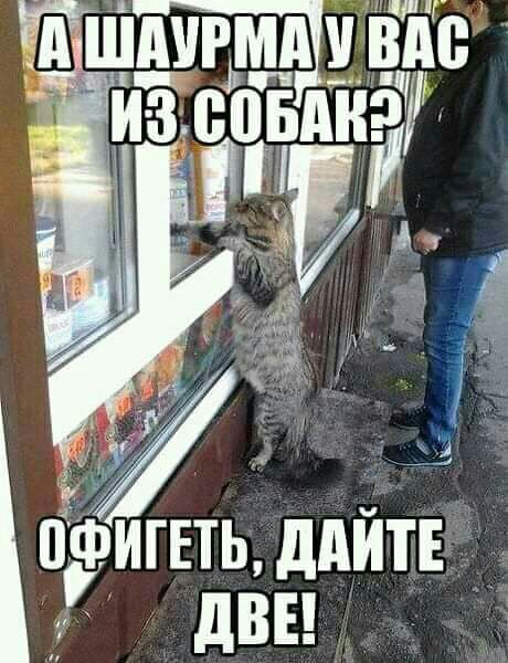 Ш Ш Ё ЁФИГЕТЬ