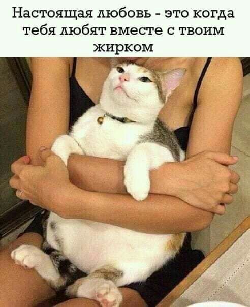 Настоящая любовь это когда тебя любят вместе с твоим