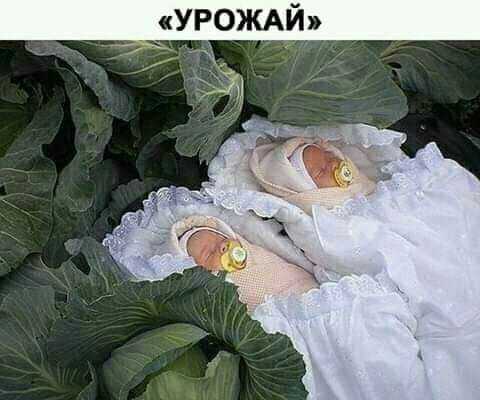 47 УРОЖАЙ