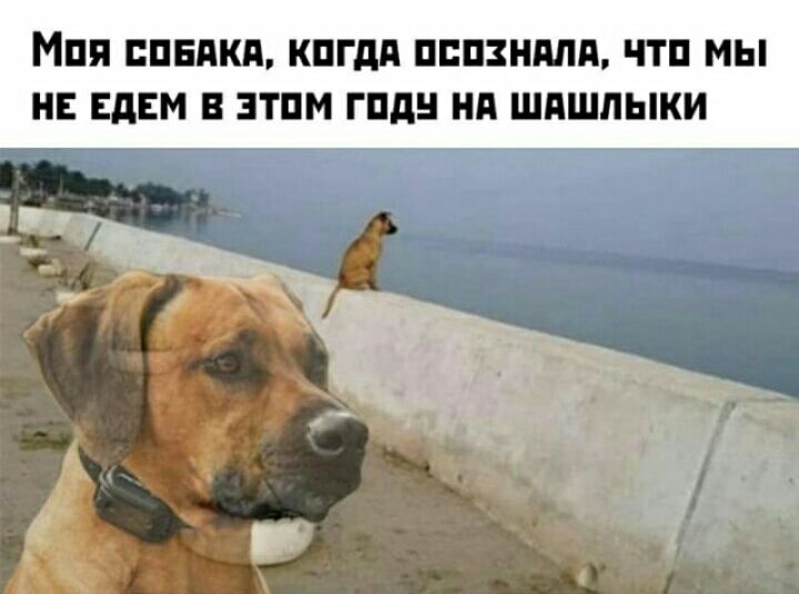 МПП ВПЕПКЯ КПГдд ПППЗНМЩ ЧТП МЫ НЕ ЕдЕМ В ЭТИМ ГПдН Нд ШПШПЫКИ