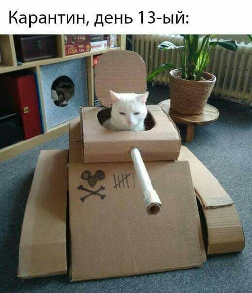 Карантин день 1З ый Г е в