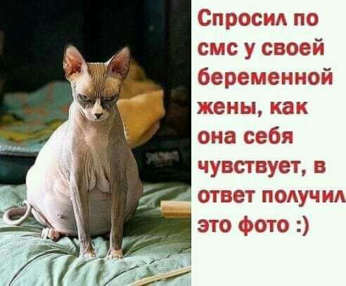 іі П 3 п чта Сми __ ШЭ_