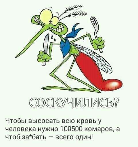 Чтобы высосать всю кровь у человека нужно 100500 комаров а чтоб забать всего один