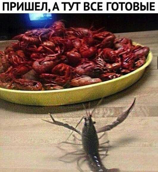 АТУТ ВСЕ ГОТОВЫЕ ПРИШЕЛ
