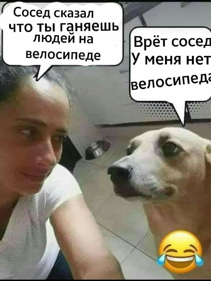 Соседсказал ЧТО ТЫ ГЁНЯЭШЬ людеи на велосипеде Врётсосе У меня не велосипед