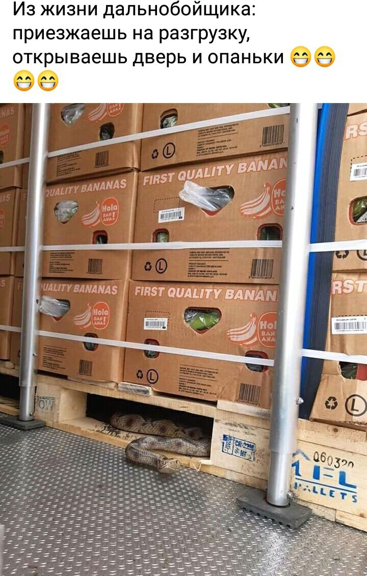 Из жизни дальнобойщика приезжаешь на разгрузку открываешь дверь и опаньки ее 90