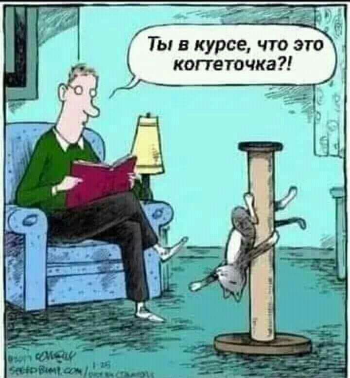 ы в курсе что это когтеточка