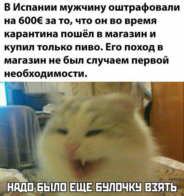 В Испании мужчину оштрафовали на 600 за то что он во время карантина пошёл в магазин и купил только пиво Его поход в магазин не был случаем первой необходимости НддПъЕЫЛП ЕЩЕ ЕНЛПЧКН ВЗЯТЬ
