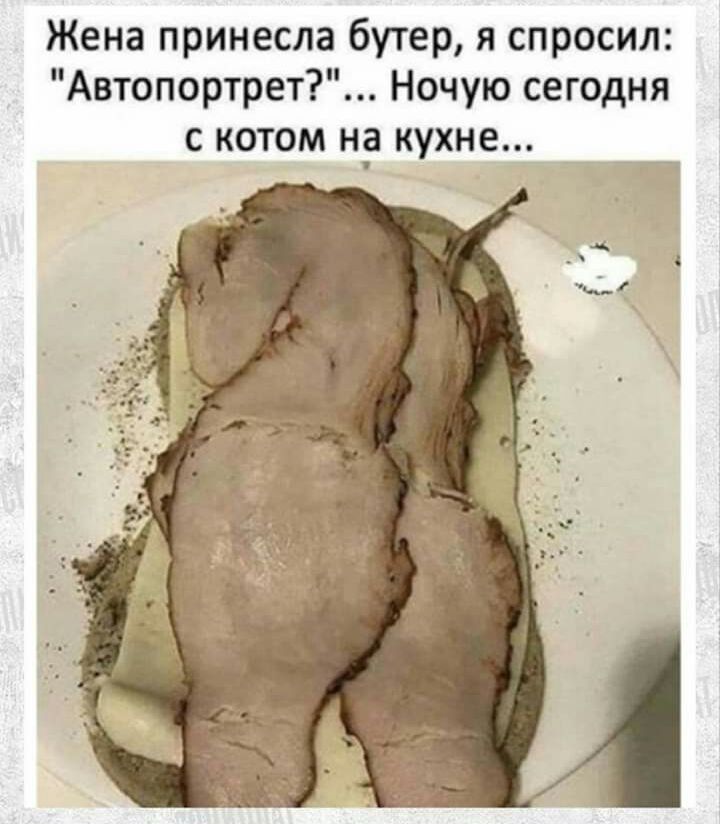 Жена принесла бутер я спросил Автопортрет Ночую сегодня с котом нд кухне