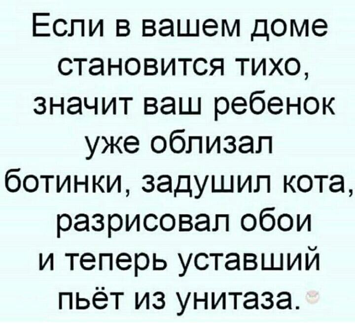 Если в вашем доме становится тихо значит ваш ребенок уже облизал ботинки задушил кота разрисовал обои и теперь уставший пьёт из унитаза