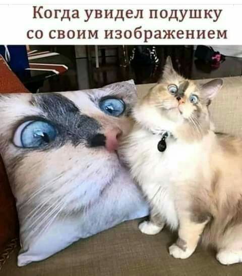Когда увидел подушку