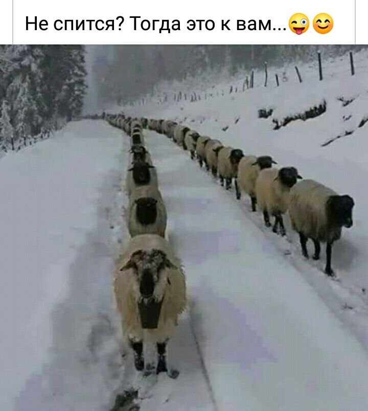 Не спится Тогда это к вам6