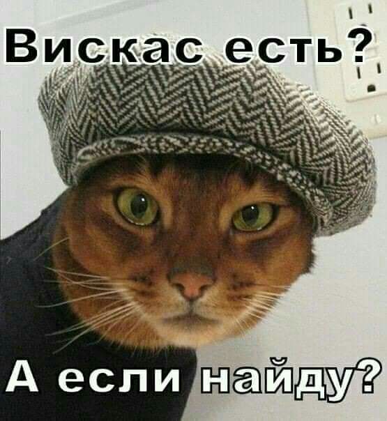 А если Байт