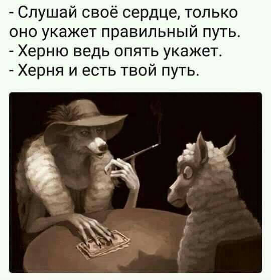 Слушай своё сердце только оно укажет правильный путь Херню ведь опять укажет Херня и есть твой путь