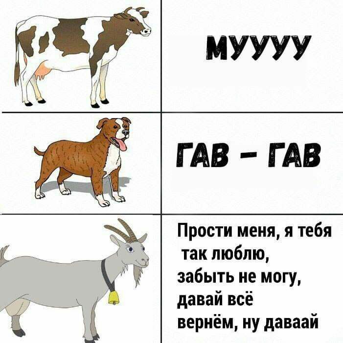 Прости меня я тебя так люблю забыть не могу давай всё вернём ну даваай