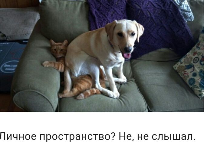 ИЧНОЭ пространство Не не слышал