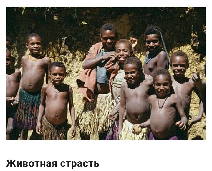 ЖИВОТНЗЯ страсть
