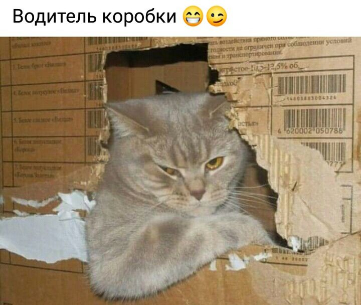 Водитель коробки