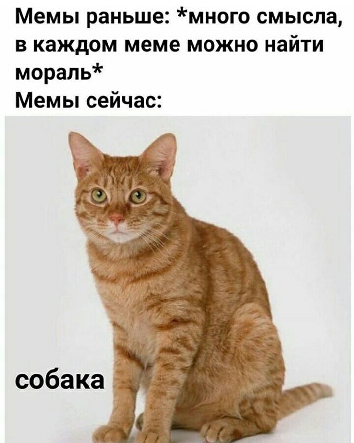Мемы раньше много смысла в каждом меме можно найти мораль Мемы сейчас
