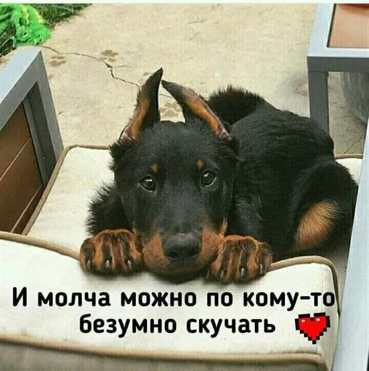 И молча можно по кому то безумно скучать С
