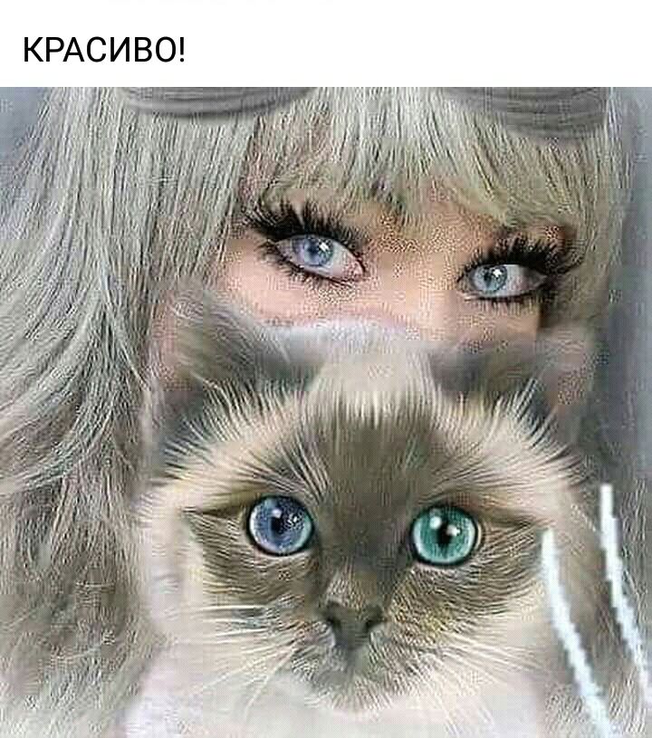 КРАСИВО