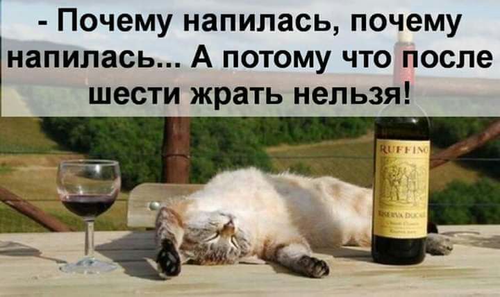 Почему напилась почему напилась А потому что после шести жрать нельзя