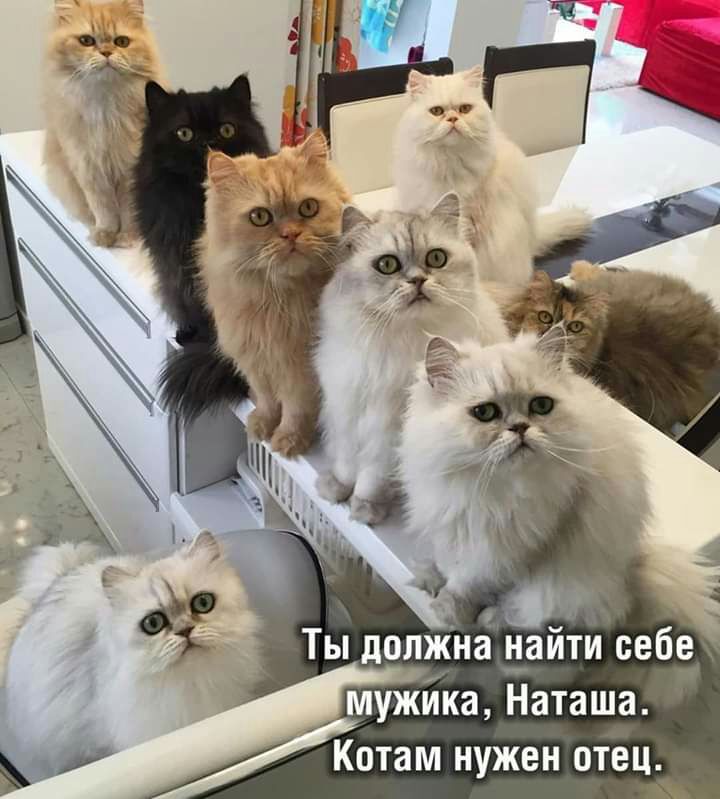 Ци Ты должна найти себе