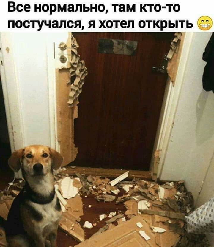 Все нормально там кто то постучался я хотел открыть