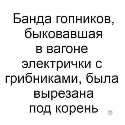 Банда гопников быковавшая в вагоне электрички с грибниками была вырезана под корень