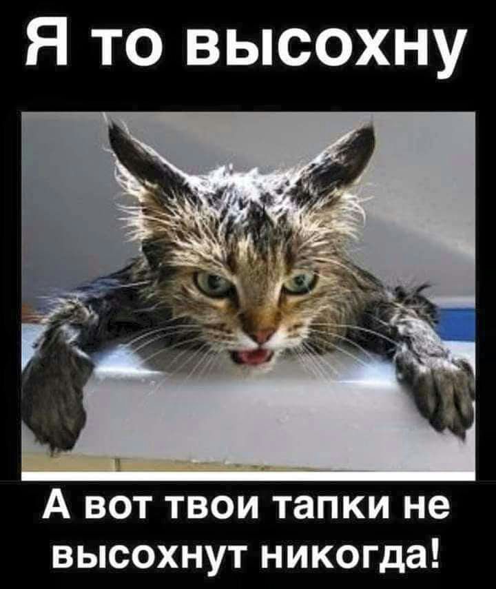 Я то высохну А вот твои тапки не высохнут никогда