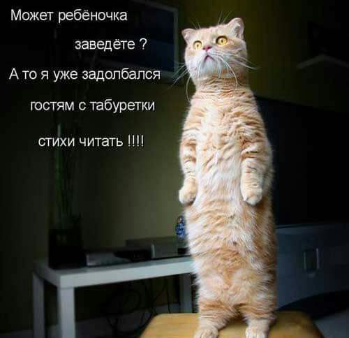 Может ребеночка эаведёте 7 А то я уже задолбался гостям табуретки сгихи читать