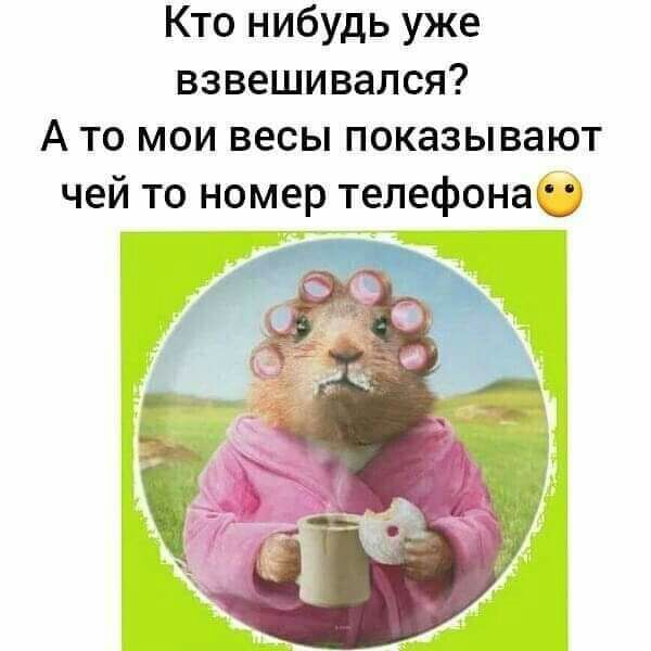 Кто нибудь уже взвешивался А то мои весы показывают чей то номер телефонаю