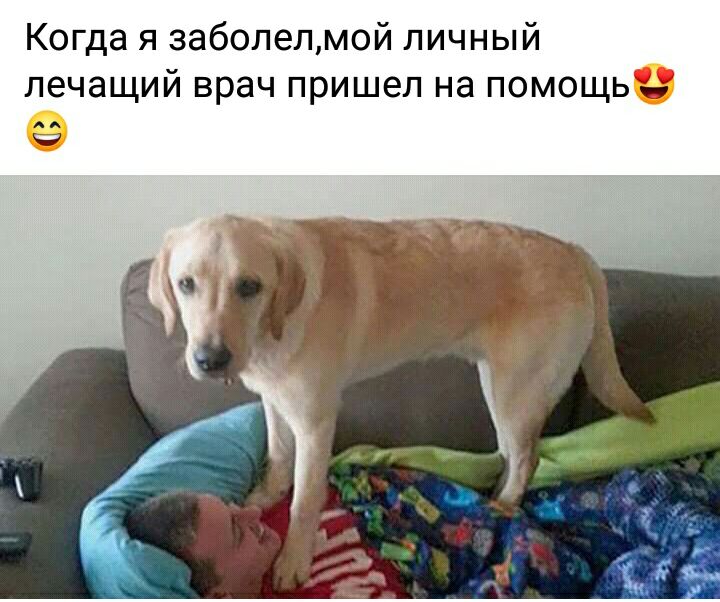 Когда я заболелмой личный лечащий врач пришел на помощь за