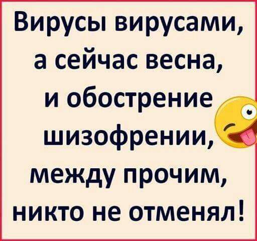 Вирусы вирусами а сейчас весна и обострение шизофрении между прочим никто не отменял