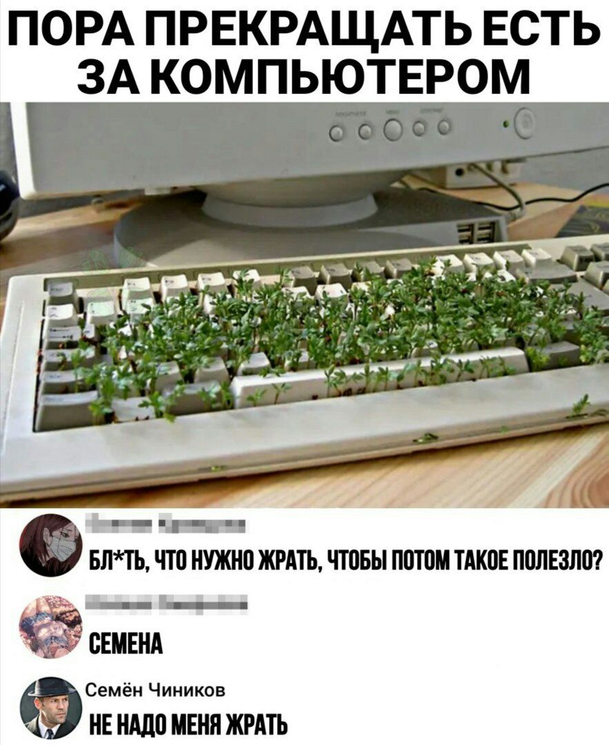 ПОРА ПРЕКРАЩАТЬ ЕСТЬ ЗА КОМПЬЮТЕРОМ БЛП ЧТО НУЖНП ЖРАТЬ ЧТПБЫ ППП ТАК0Е ППЛЕЗЛП _ СЕМЕНА _ Семён Чиников нвнддомвня жить