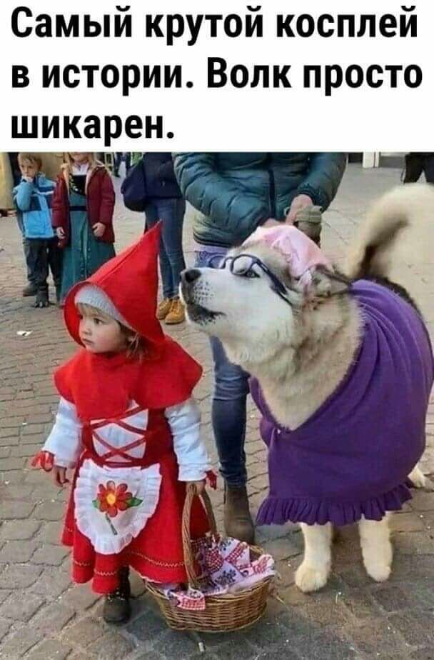 Самый крутой косплей в истории Волк просто шикарен