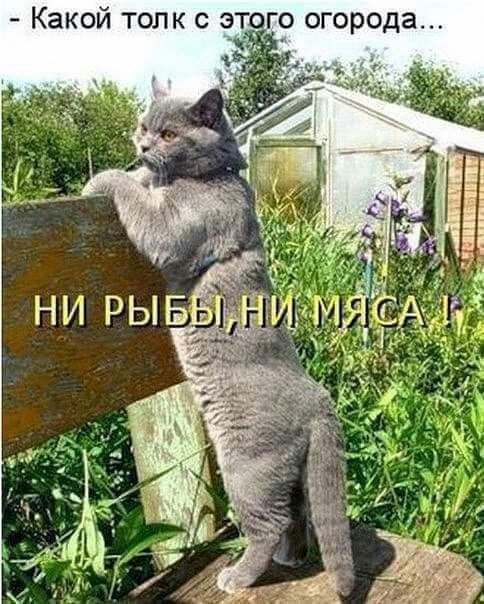 Какой толк с этого огорода