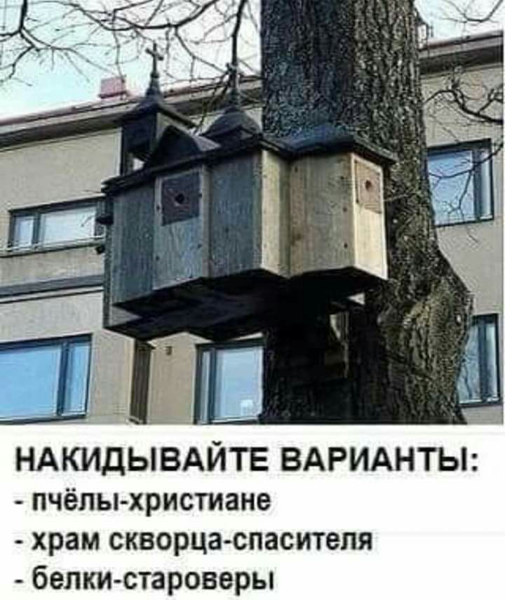 НАКИДЫВАЙТЕ ВАРИАНТЫ пчёлыхристиане храм скворца спаситепя белки староверы